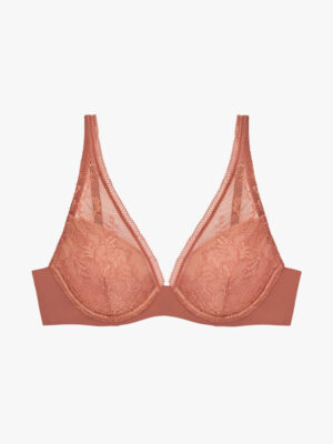 The Lace Plunge Bra